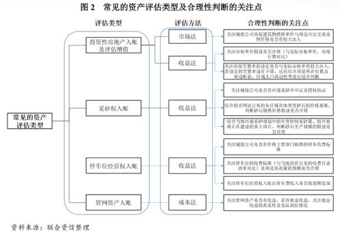 透過審計報告與資產評估報告識別城投公司財務風險