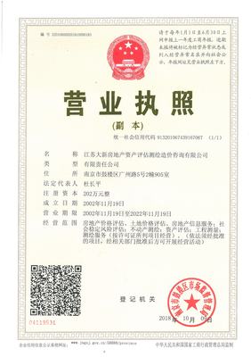 江蘇大新資產 專業評估，賦能資產價值精確認知